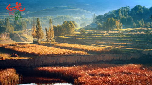 1631110726.jpg 1631110726.jpg